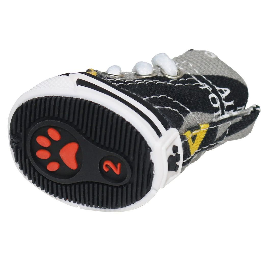 Petfiti Shoes