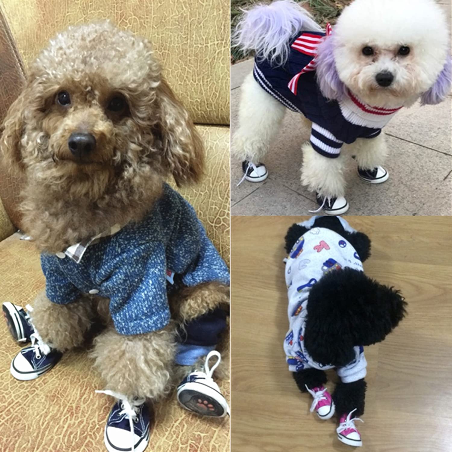 Pet-Verse